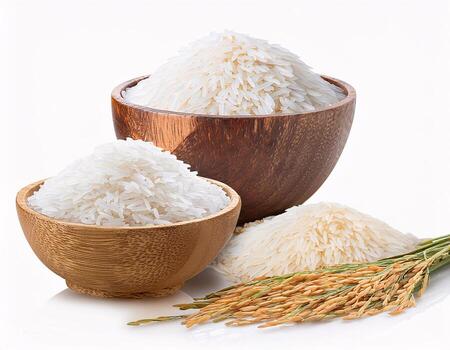 Saka Rice Shop Billing Software dashboard